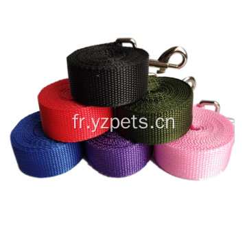 Laisse de chien de dressage de marche en nylon durable